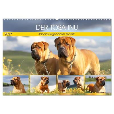 Der Tosa Inu. Japans legendärer Mastiff (Wandkalender 2027 DIN A2 quer), CALVENDO Monatskalender