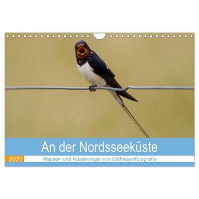 An der Nordseeküste - Wasser- und Küstenvögel fotografiert von Ostfriesenfotografie (Wandkalender 2027 DIN A4 quer), CALVENDO Monatskalender