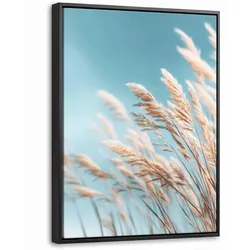 LEINWAND Bilder mit Rahmen - Ziergras - Wind - Hellbraun - 30x40