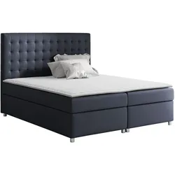 BOXBETT Asti - H3