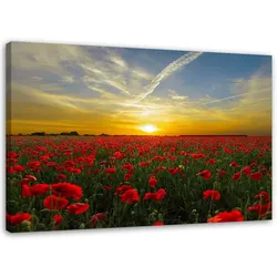 LEINWANDBILD Wiese voller roter Mohnblumen in der Sonne 90x60cm