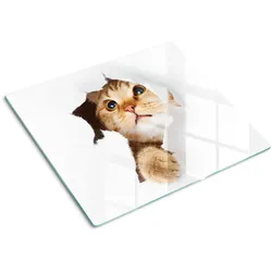 GLASPLATTE 60x52 cm Katze im Loch