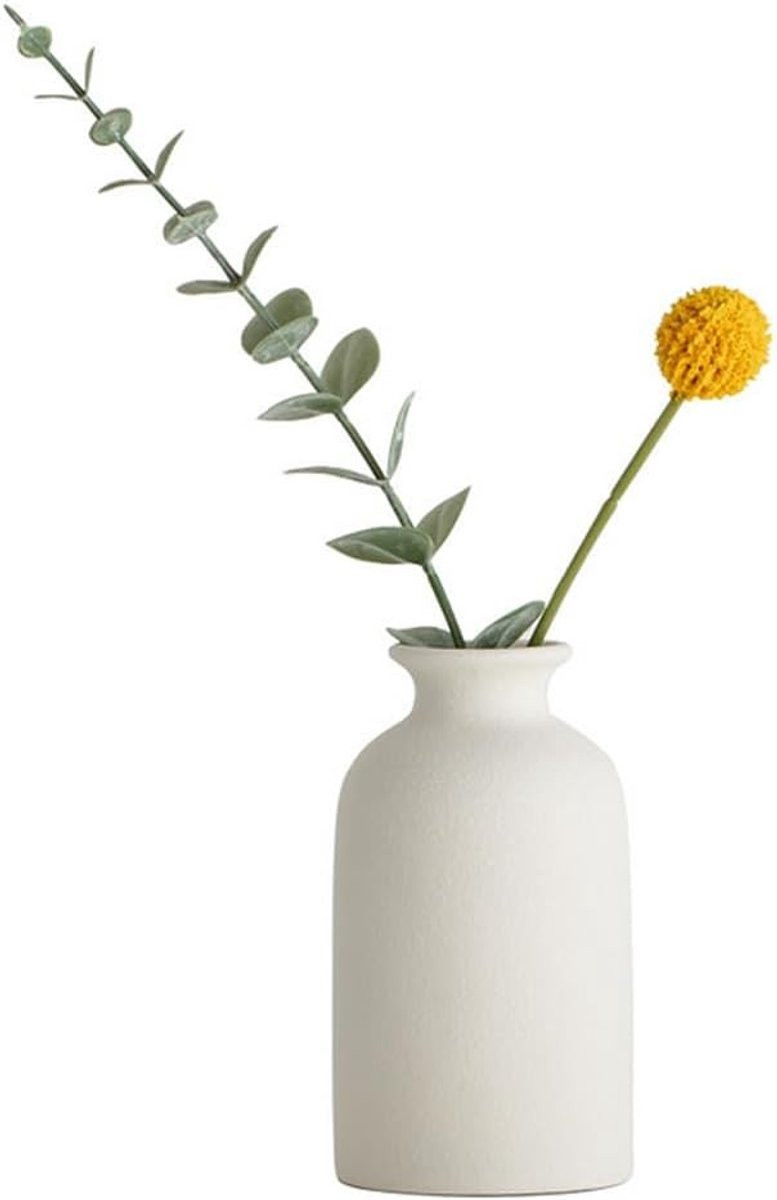 Kleine Keramische Vaas voor Droogbloemen in Bohemian Stijl - Minimalistische Decoratie voor Thuis (Wit)