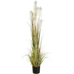 Mica Decorations, Kunstpflanzen, Mica Kunstpflanze Federgras Foxtail im Topf (180 cm)