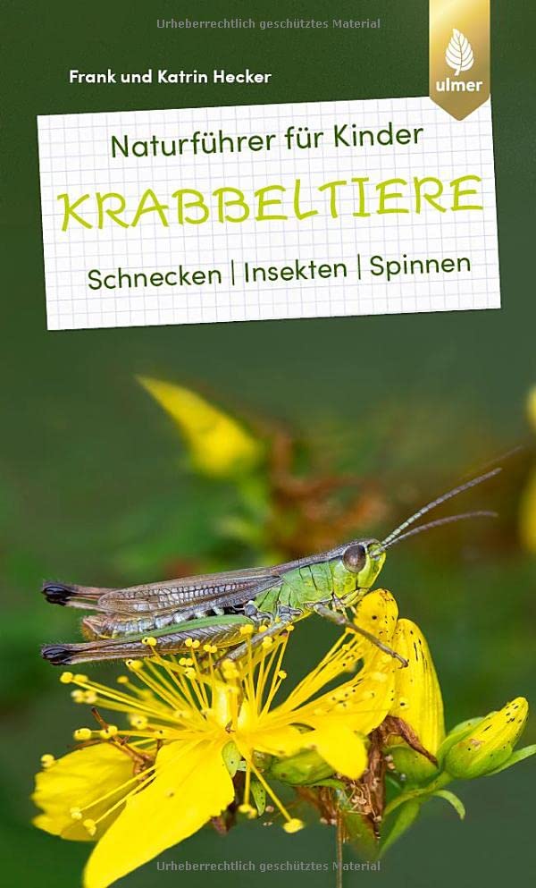 Hecker, Frank und Katrin - Naturführer für Kinder: Krabbeltiere: Schnecken, Insekten, Spinnen - Preis vom 15.10.2026 23:06:25 h