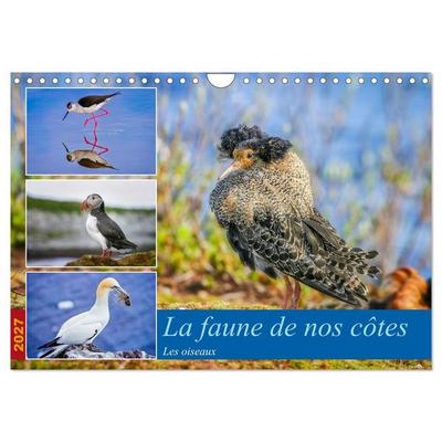 La faune de nos côtes les oiseaux (Calendrier mural 2027 DIN A4 vertical), CALVENDO calendrier mensuel