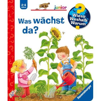 Was wächst da? / Wieso? Weshalb? Warum? Junior Bd. 22, Gebundene Ausgabe von Constanza Droop, Ravensburger Verlag GmbH