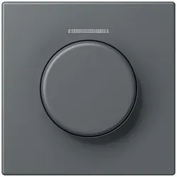 Jung Abdeckung mit Lichtleiter LC 1940 KO5 202