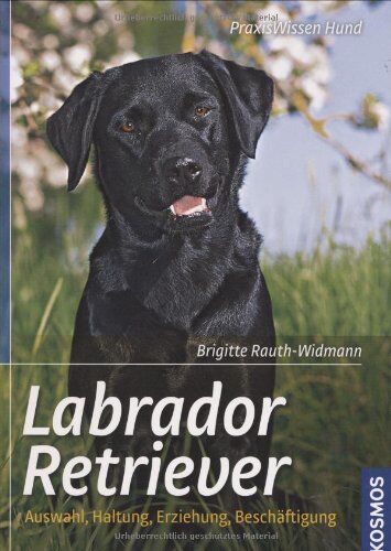 Brigitte Rauth-Widmann - Labrador Retriever: Auswahl, Haltung, Erziehung, Beschäftigung - Preis vom 09.10.2026 07:28:09 h