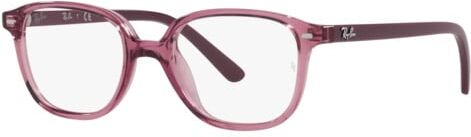 Ray-Ban Leonard Jr RY 9093V (3898)