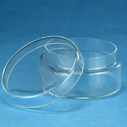 Glasdose mit losem Deckel 40 x 80 mm