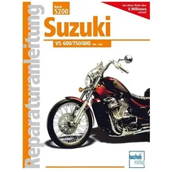 Suzuki VS 600/750/800, Ratgeber