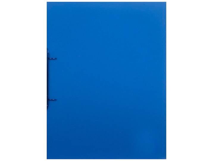 Ringbuch A4 2-Ring dunkelblau transparent