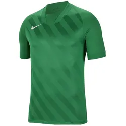 Nike, Unisex, Sportshirt, Challenge Iii Trikot Kids (140, S), Grün