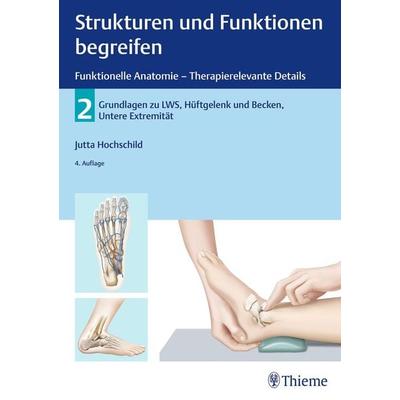 Strukturen und Funktionen begreifen - Funktionelle Anatomie, Gebundene Ausgabe von Jutta Hochschild, Thieme, 978-3-13-112374-9