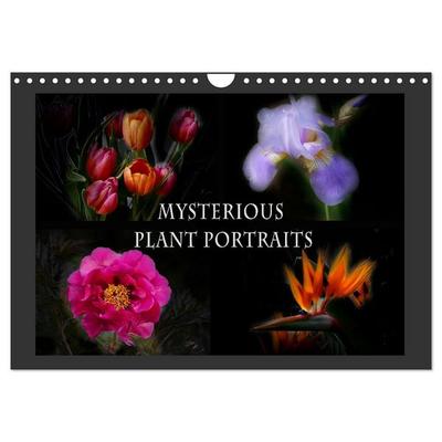 Mysterious plant portraits (Wall Calendar 2027 DIN A4 landscape), CALVENDO 12 Month Wall Calendar