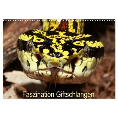 Faszination Giftschlangen (Wandkalender 2027 DIN A3 quer), CALVENDO Monatskalender