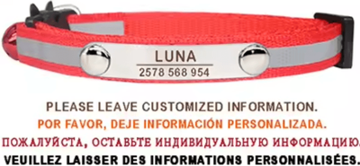 Inspire Curations SafeGlow Personalized Reflective Cat Collar c red 7 12 Inch