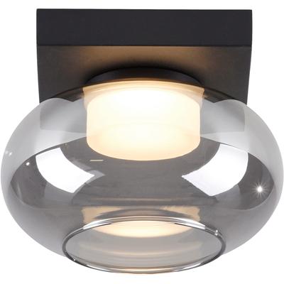 LED Deckenleuchte "SIA", schwarz, 1, Ø 20cm H: 14,4cm, 1 Stk., SCHÖNER WOHNEN-KOLLEKTION, Leuchten, SCHÖNER WOHNEN Kollektion, SimplyDim, Memoryfunktion, Rauchglas, LED Deckenleuchte