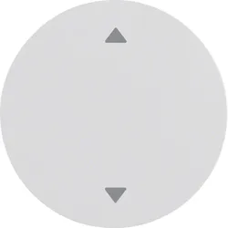 Berker 16202049 Wippe mit Aufdr Symbol Pfeile R.1/R.3 pw