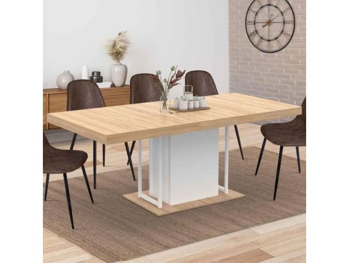 Table à manger rectangle extensible - IDMARKET - UGO - Bois et blanc - 6-10 personnes - 160-200 cm
