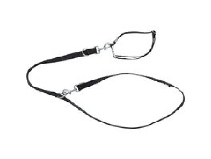 ZOOFARI® Collier et laisse pour chiens (noir, S)