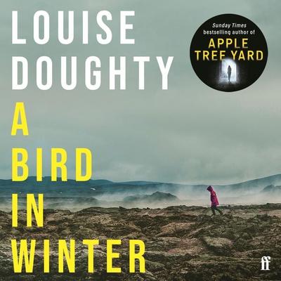 A Bird in Winter - Louise Doughty, Audio, 9780571379941
