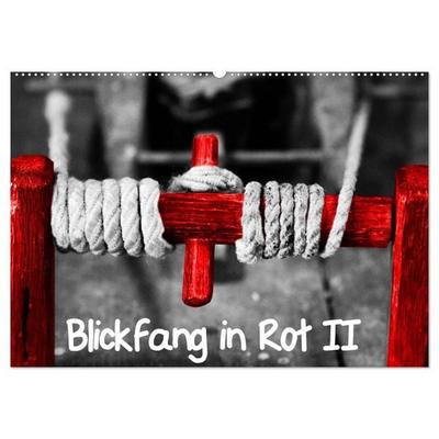 Blickfang in Rot (Wandkalender 2026 DIN A2 quer), CALVENDO Monatskalender