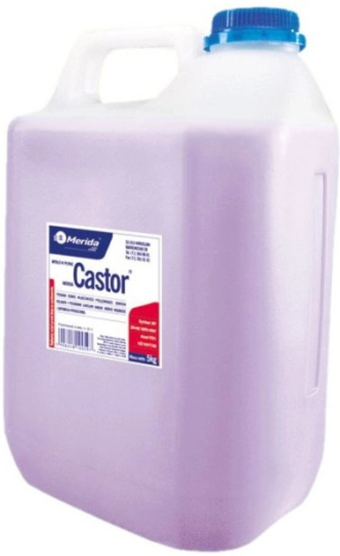Tekuté mýdlo MERIDA CASTOR, fialové, 5 kg