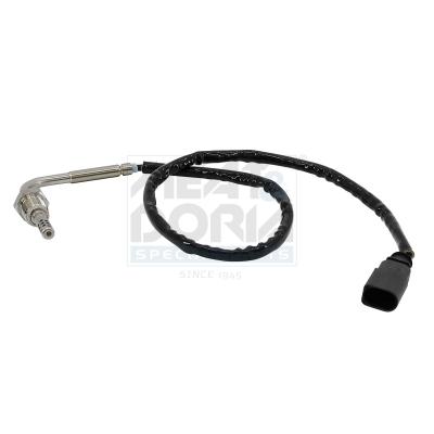 MEAT & DORIA Sensor, Abgastemperatur 12507 für VW