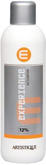 1L Artistique Experience Activator