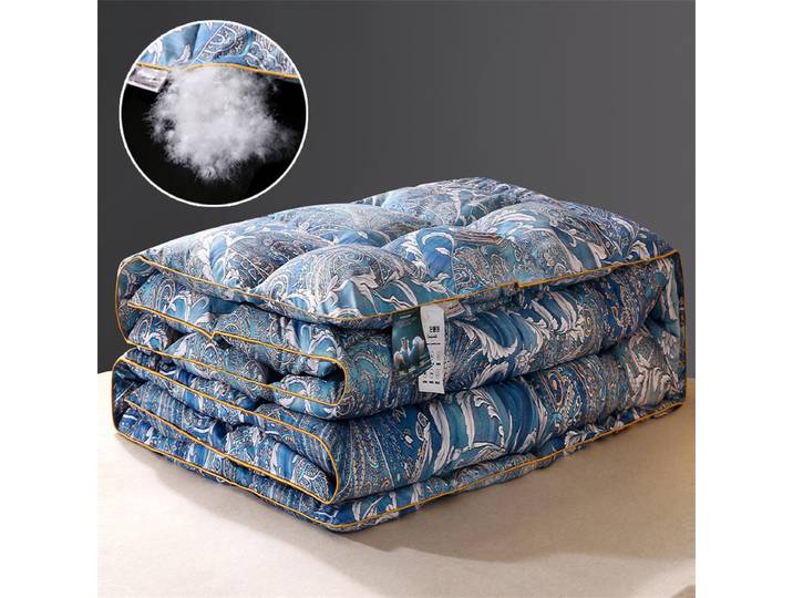 Couette en duvet d'oie/canard blanc, couette Premium, imprimé cinq étoiles, pour hôtel, 100% coton, couverture épaisse de luxe