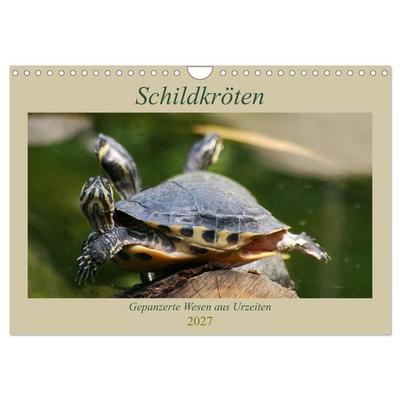 Schildkröten - Gepanzerte Wesen aus Urzeiten (Wandkalender 2027 DIN A4 quer), CALVENDO Monatskalender