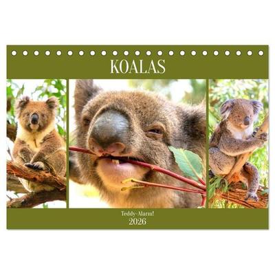 Koalas. Teddy-Alarm! (Tischkalender 2026 DIN A5 quer), CALVENDO Monatskalender
