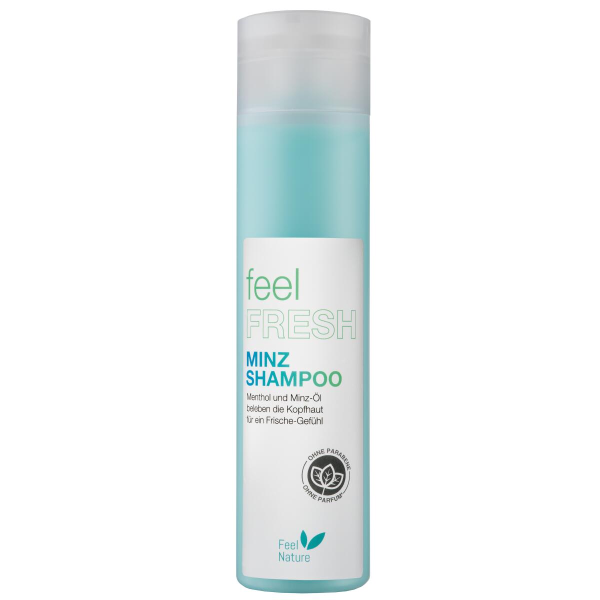 HAIR HAUS GmbH Feel Nature Minz Shampoo 250ml