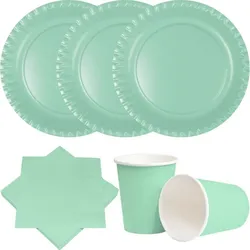 Party Deko Set Mint Einweggeschirr für 20 Personen Teller, Becher, Servietten Hochzeit Geburtstag