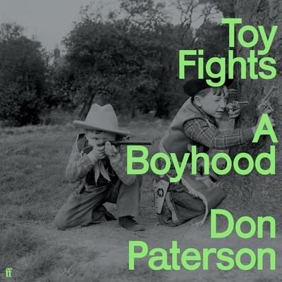 Toy Fights - Don Paterson, Audio, 9780571376643