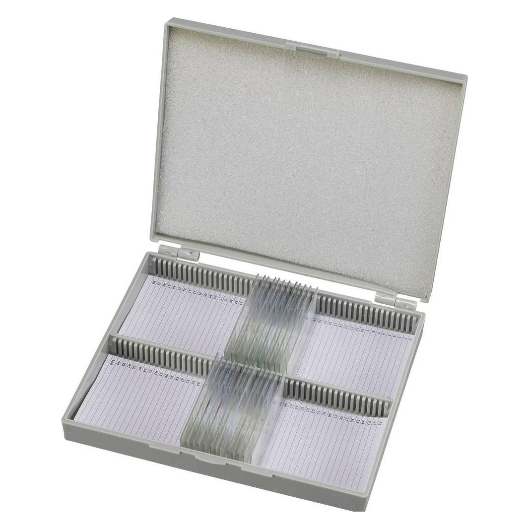Bresser Optik Dauerpräparate 25er 5986001 Mikroskop-Objektträger (5986001)