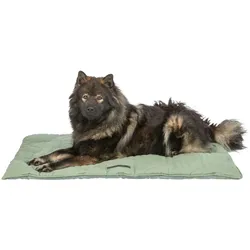 TRIXIE Liegematte Marley, eckig, 110 × 75 cm, salbei