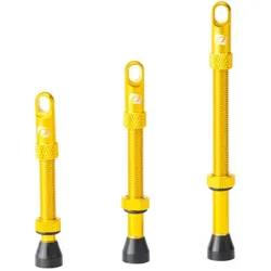SYNCROS Tubeless Ventile | gold