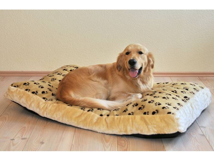 Liegewiese Silvio Gr.2 42 x 8 x 75cm Beige