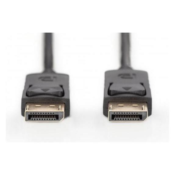Digitus DisplayPort - DisplayPort (2 m) (AK-340100-020-S)