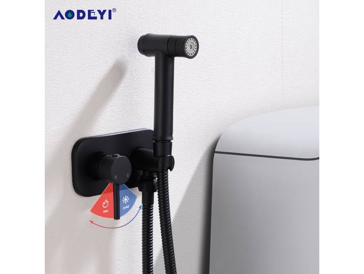 Ensemble de pulvérisateur de Bidet Portable, robinet de toilette à pulvérisation noire, mélangeur d'eau chaude et froide en laiton, pomme de Douche de salle de bains, Kit de Douche or brossé