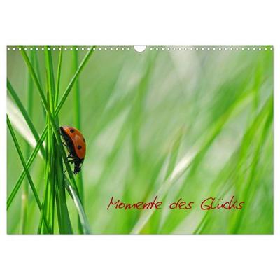 Momente des Glücks (Wandkalender 2027 DIN A3 quer), CALVENDO Monatskalender