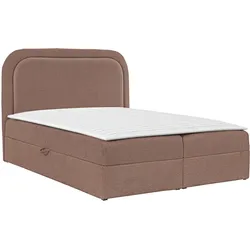 BOXBETT Bonito - H3