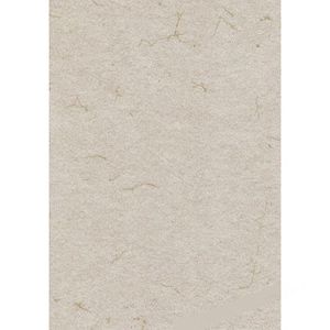 Römerturm Briefpapier 88001578, hellgrau, A4, Elefantenhaut, 110 g/m², 100 Blatt