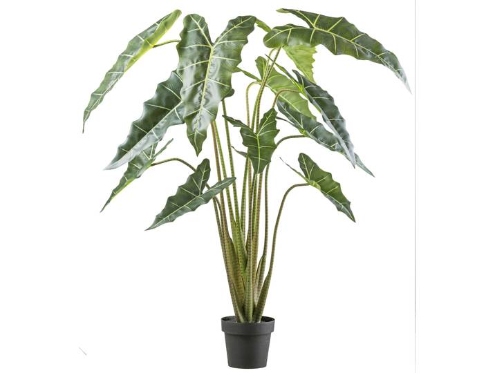 Kunstpflanze CREATIV GREEN Alocasia zebrina sarian , grün, H:160cm, Kunststoff, Kunstpflanzen, Kunstpflanze, mit gestreiftem Stamm