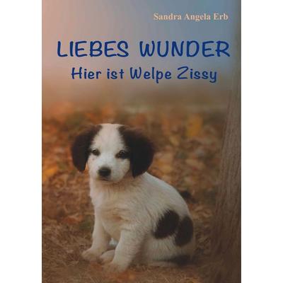 Liebes Wunder, Taschenbuch von Sandra A. Erb, BoD – Books on Demand, 978-3-7494-9920-5