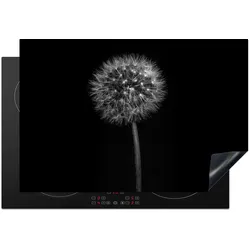 HERDABDECKPLATTE Löwenzahn - Schwarz - Floral - Botanisch Glaskeramikkochfeldabdeckung 78x52 cm