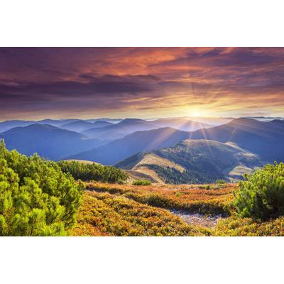 Papermoon "Blütenbaum"